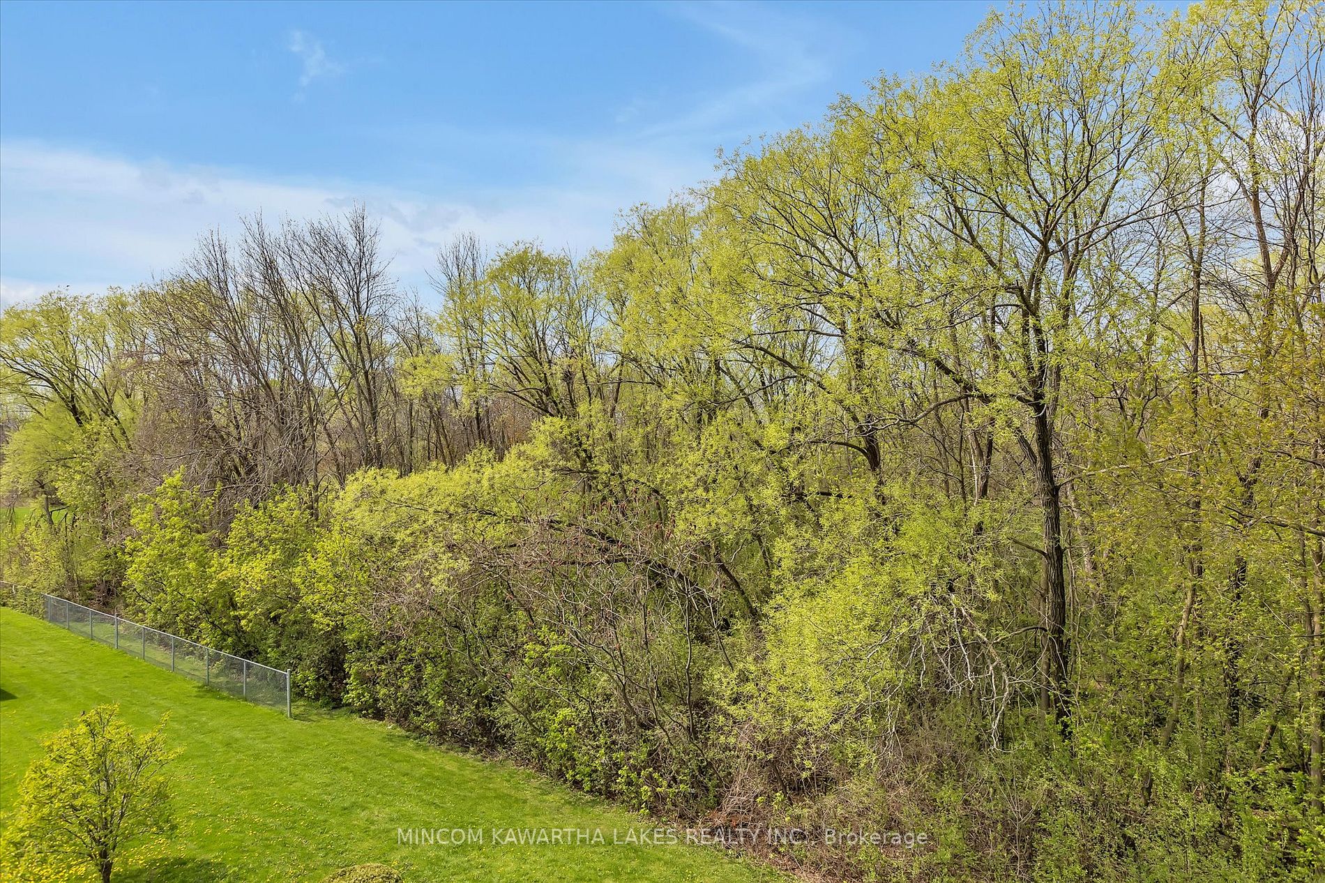 Listing X5964340 - Large Photo # 11