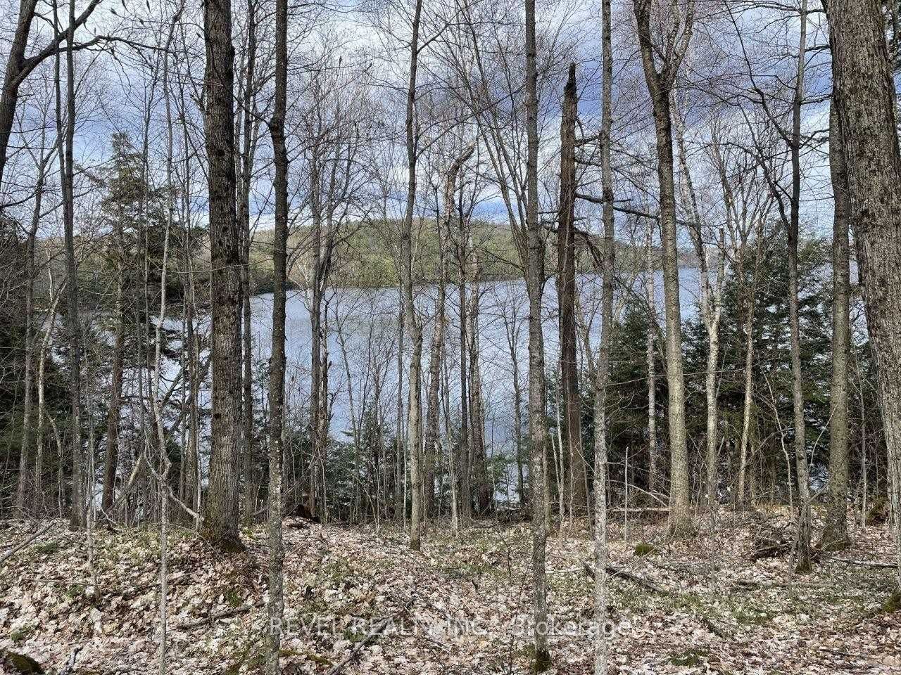 Listing X5968007 - Large Photo # 5