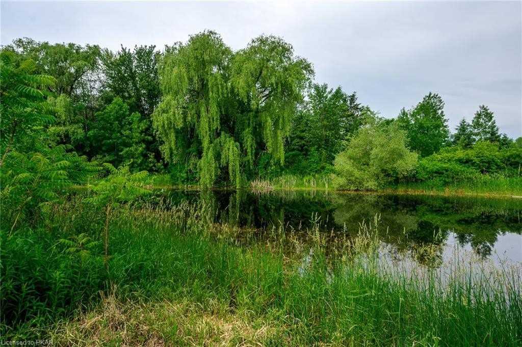 Listing X5968327 - Large Photo # 15