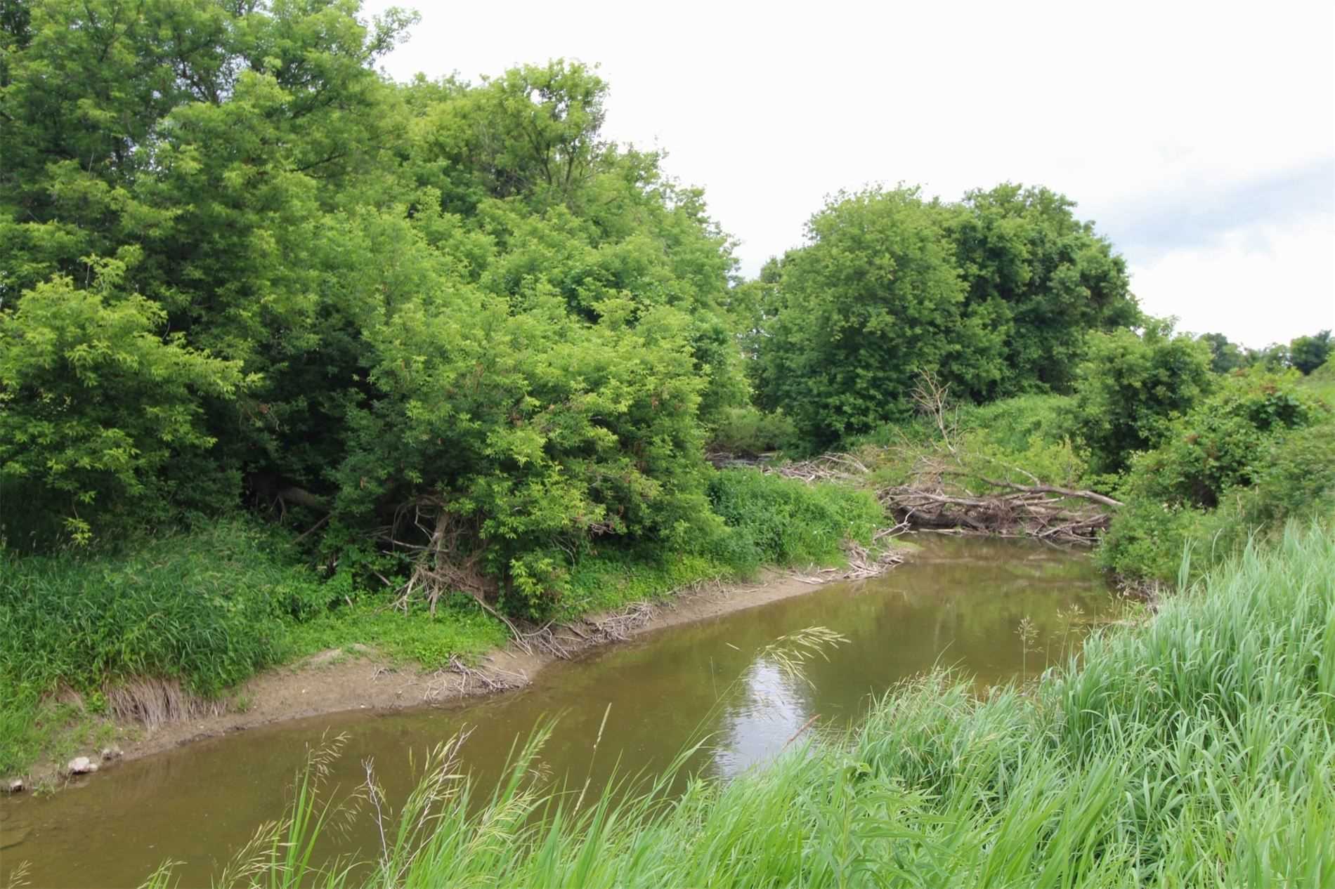 Listing X5969287 - Large Photo # 6