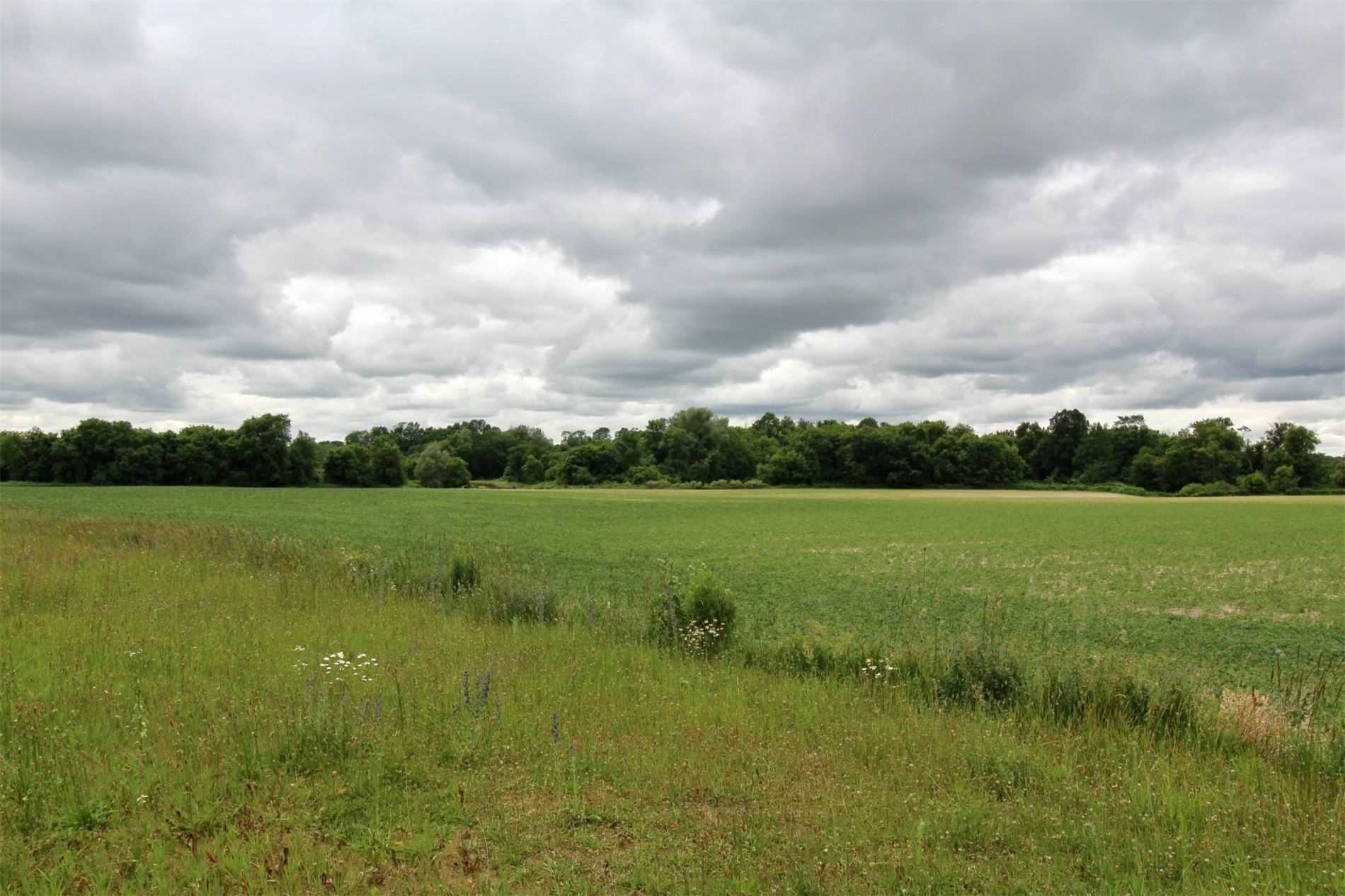 Listing X5969287 - Large Photo # 8