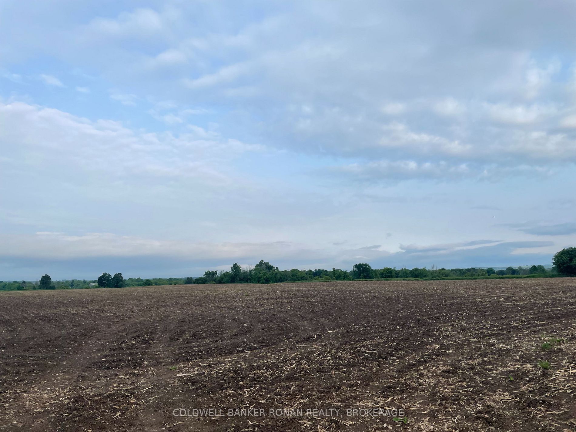 Listing X5969555 - Large Photo # 4