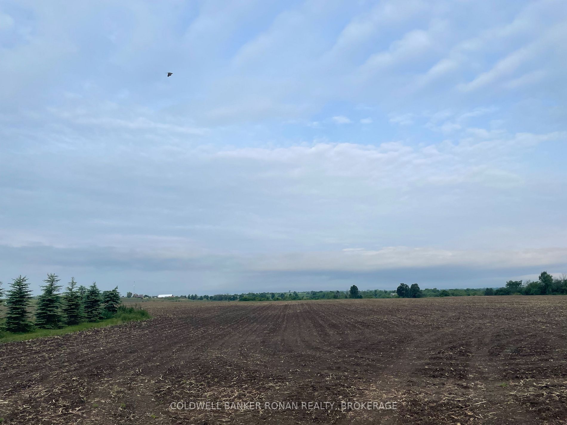 Listing X5969555 - Large Photo # 3
