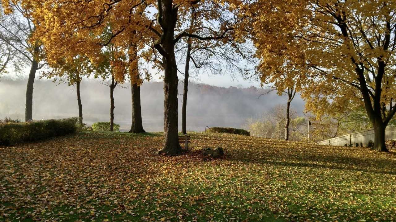 Listing X5972515 - Large Photo # 4