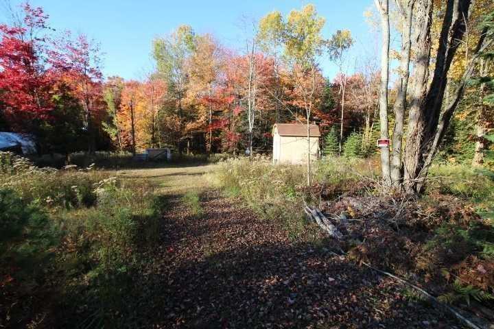 Listing X5972807 - Large Photo # 14