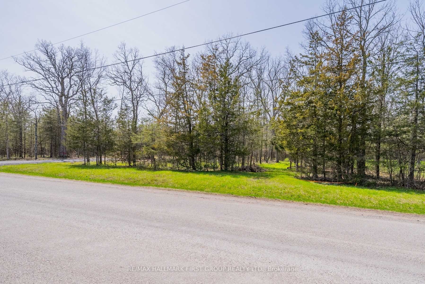 Listing X5972913 - Large Photo # 19