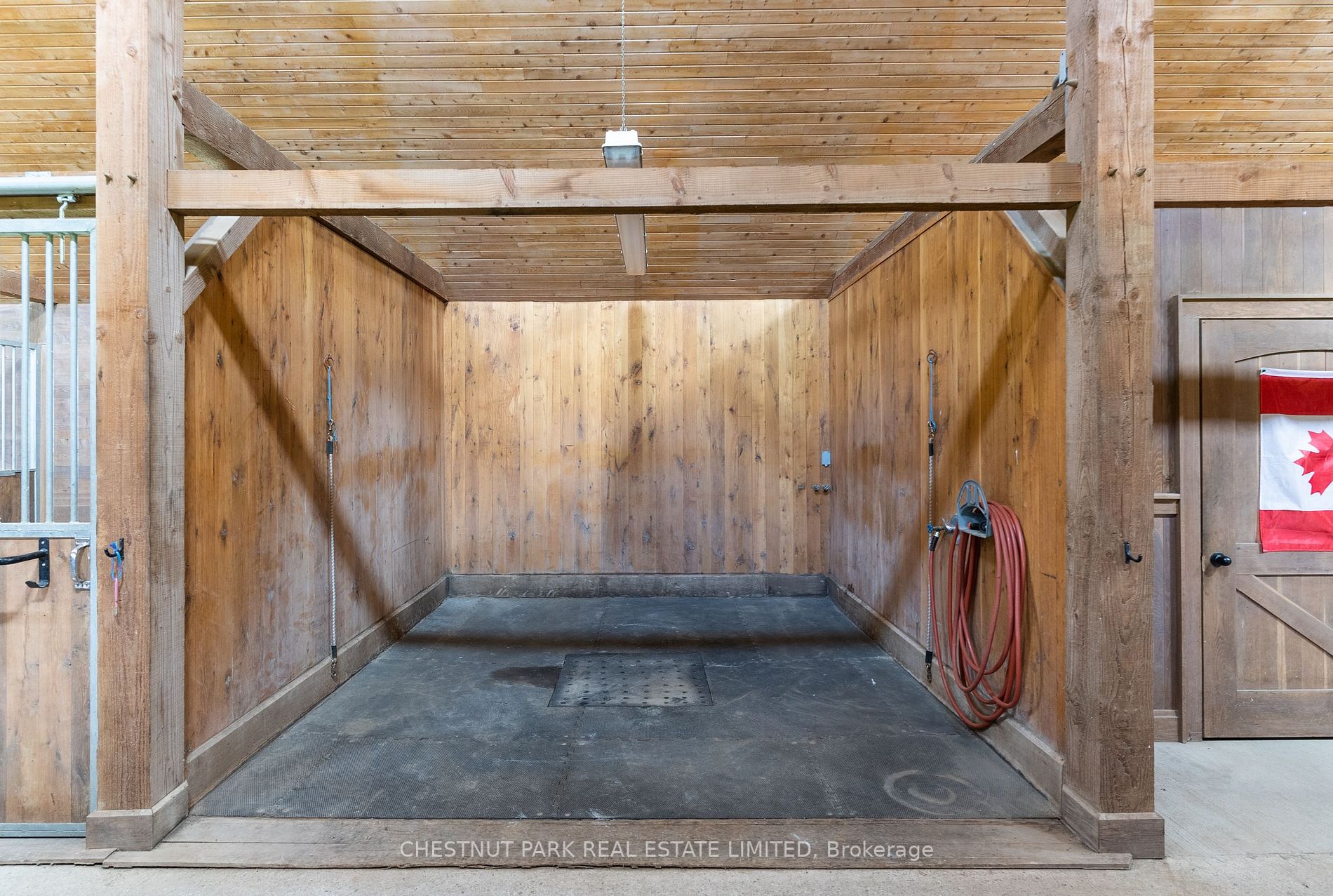 Listing X5972940 - Large Photo # 5