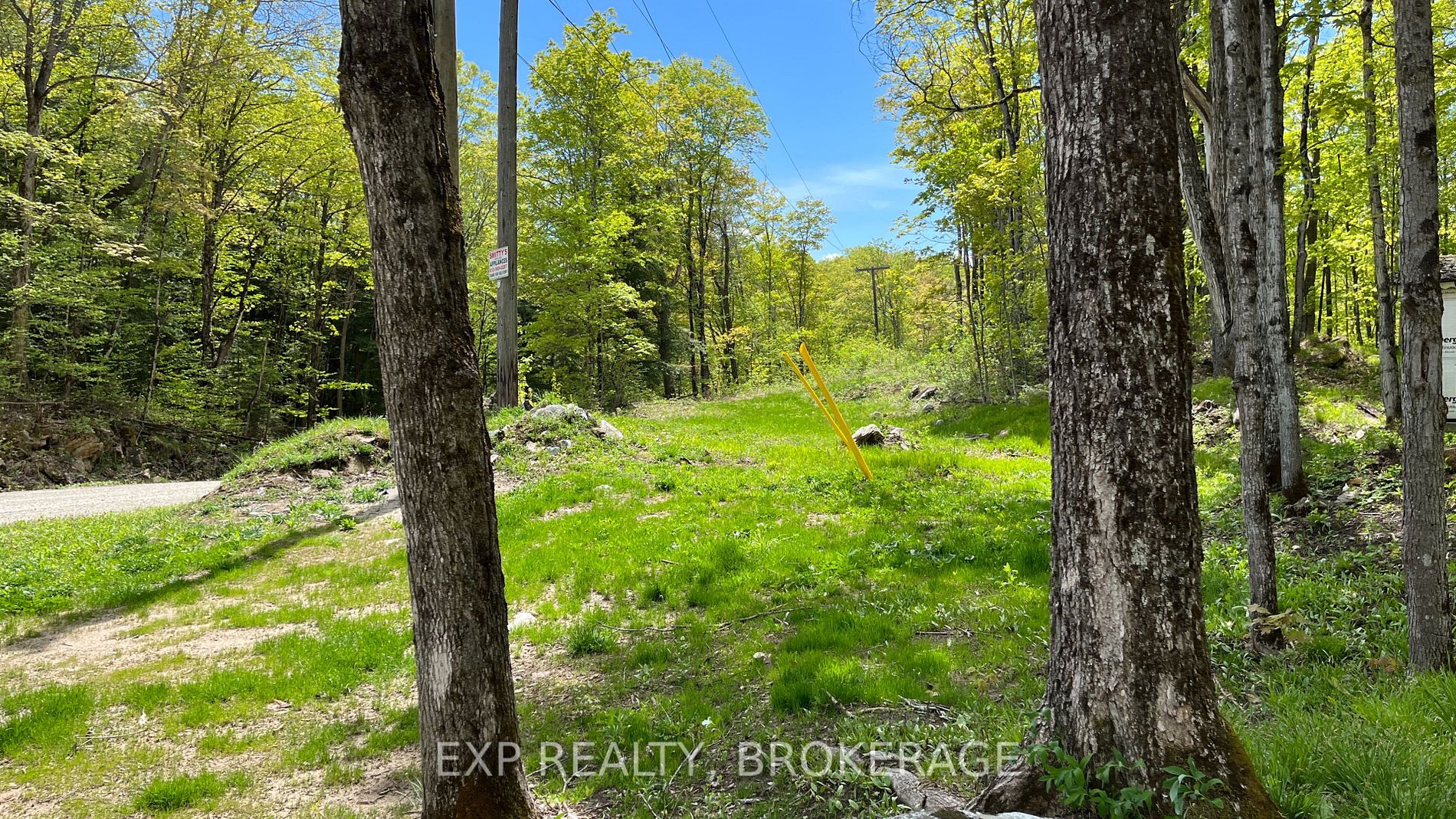 Listing X5973725 - Large Photo # 6