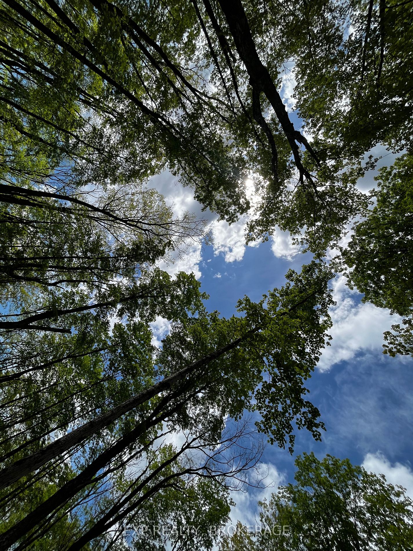 Listing X5973725 - Large Photo # 5
