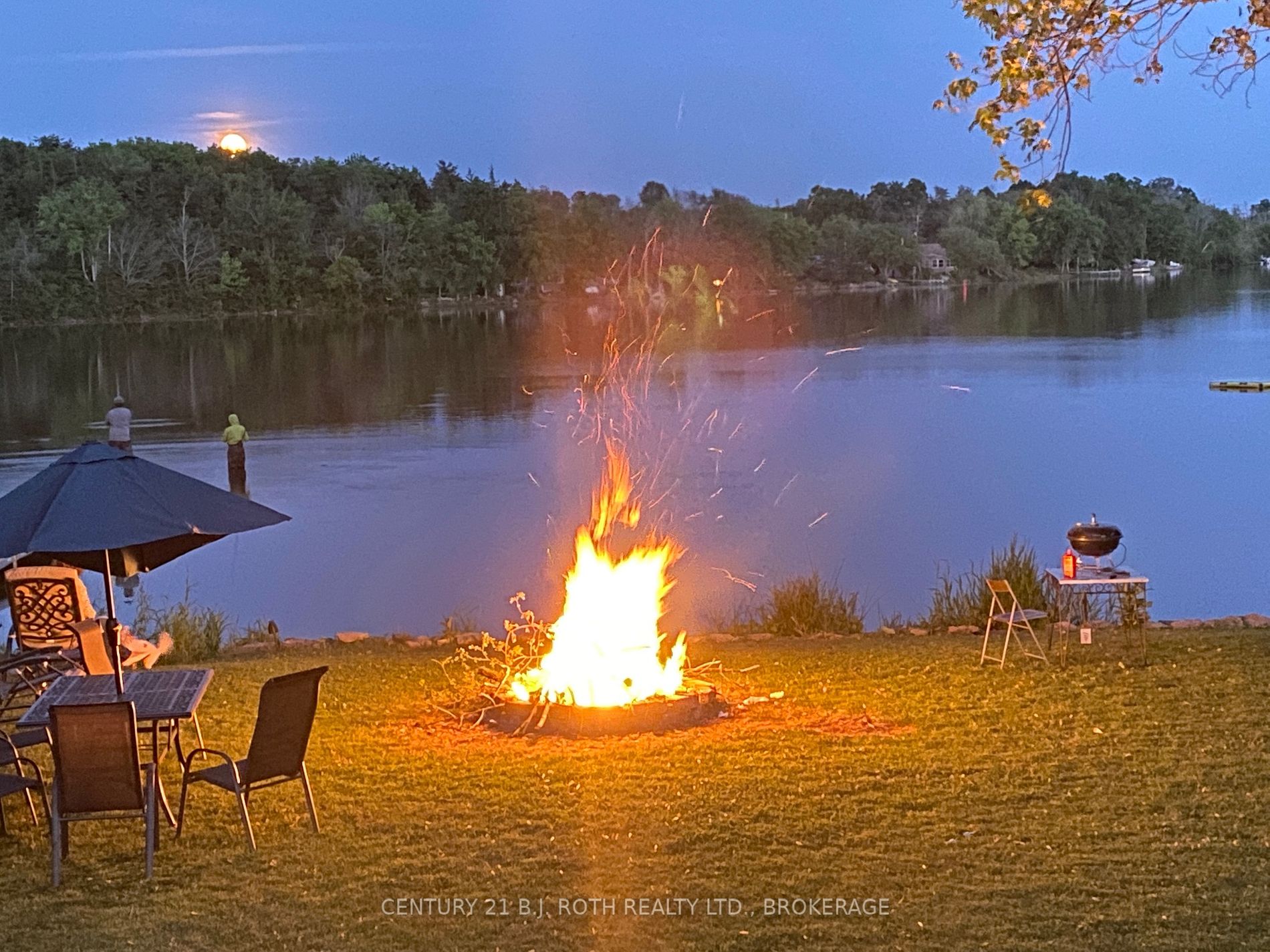 Listing X5975409 - Large Photo # 2