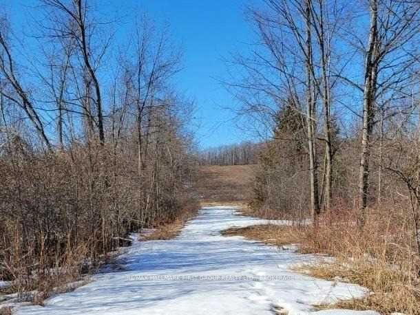 Boundary Road