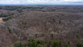 Listing X5979080 - Large Photo # 9