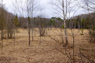 Listing X5979080 - Large Photo # 14
