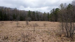 Listing X5979080 - Large Photo # 7