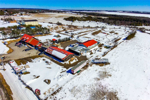 3900 Highway 35 Rd, Kawartha Lakes