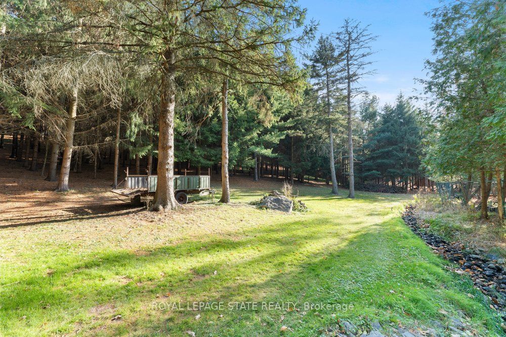 Listing X5979956 - Large Photo # 38