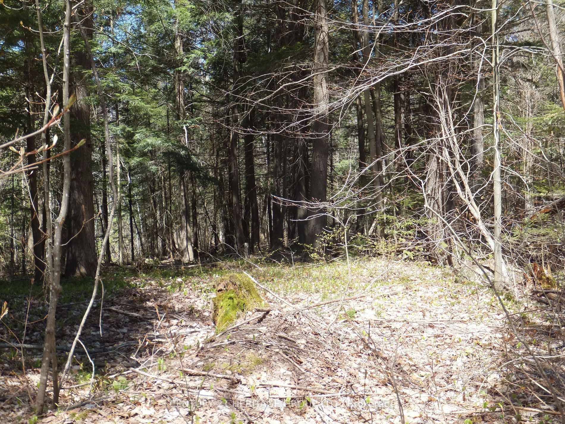 Listing X5981312 - Large Photo # 3