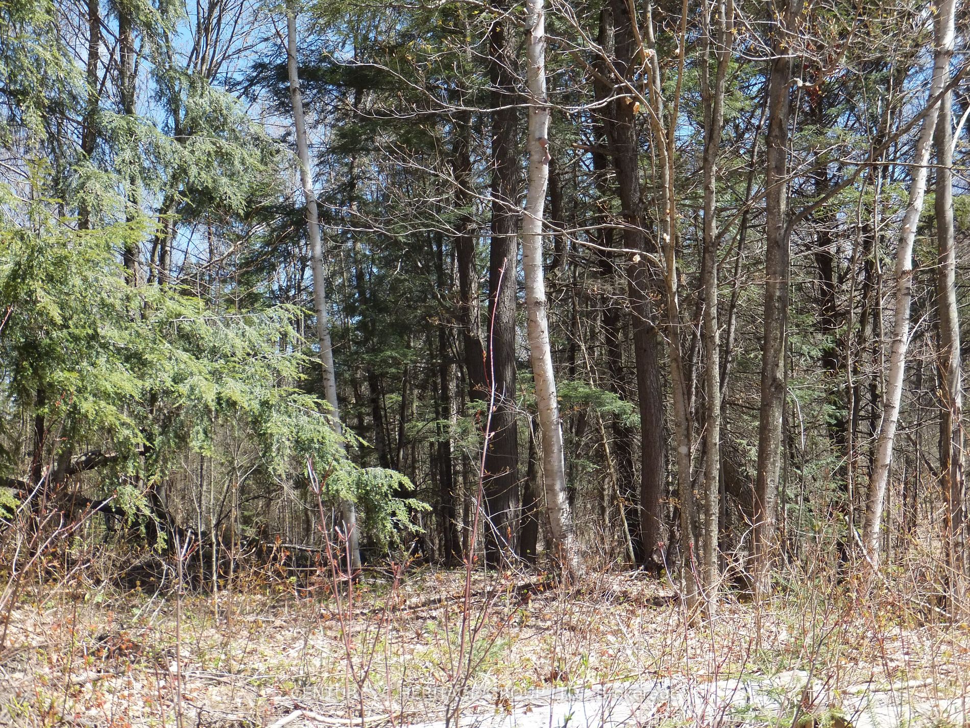Listing X5981312 - Large Photo # 2