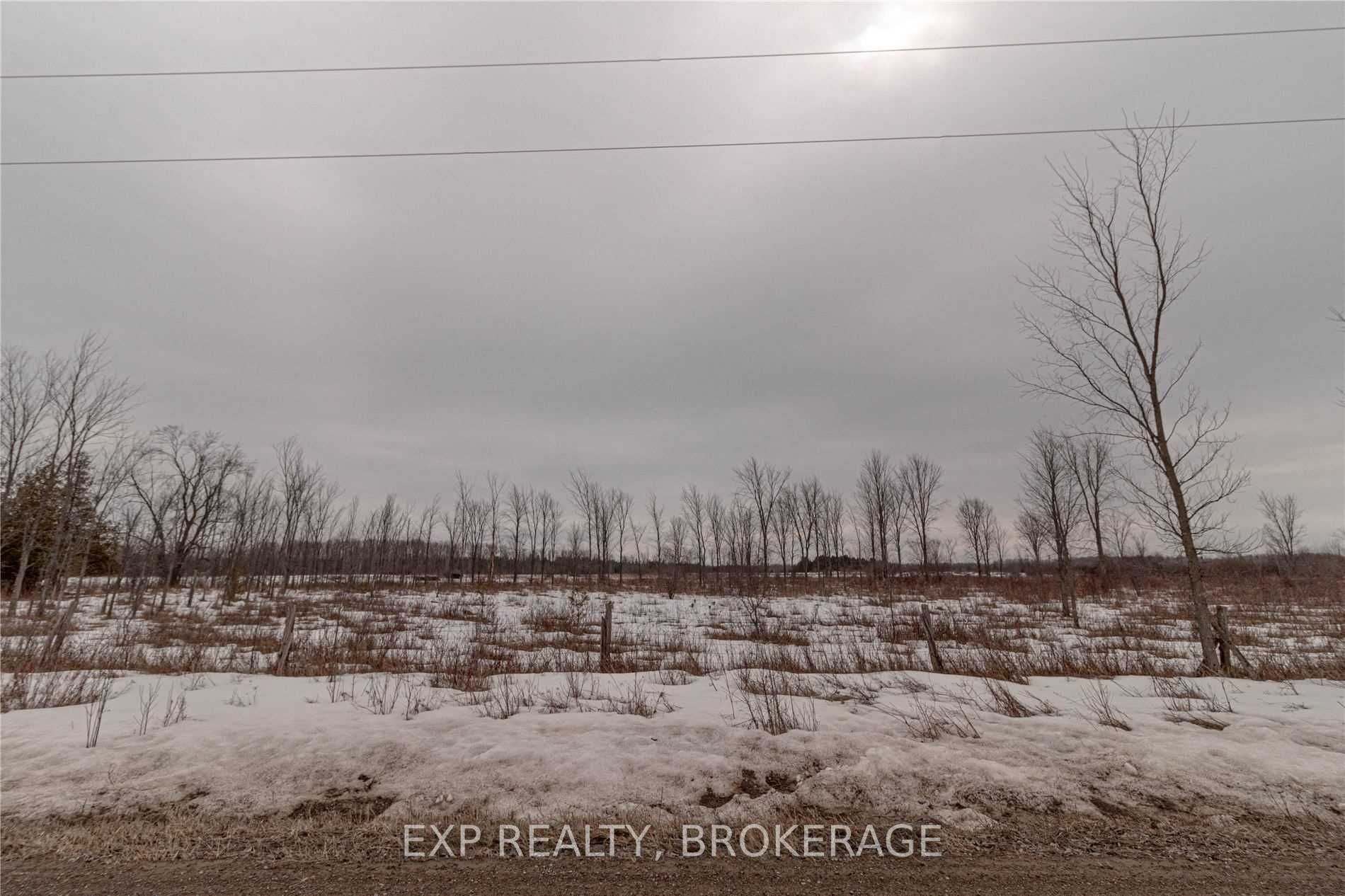 Listing X5981677 - Large Photo # 5