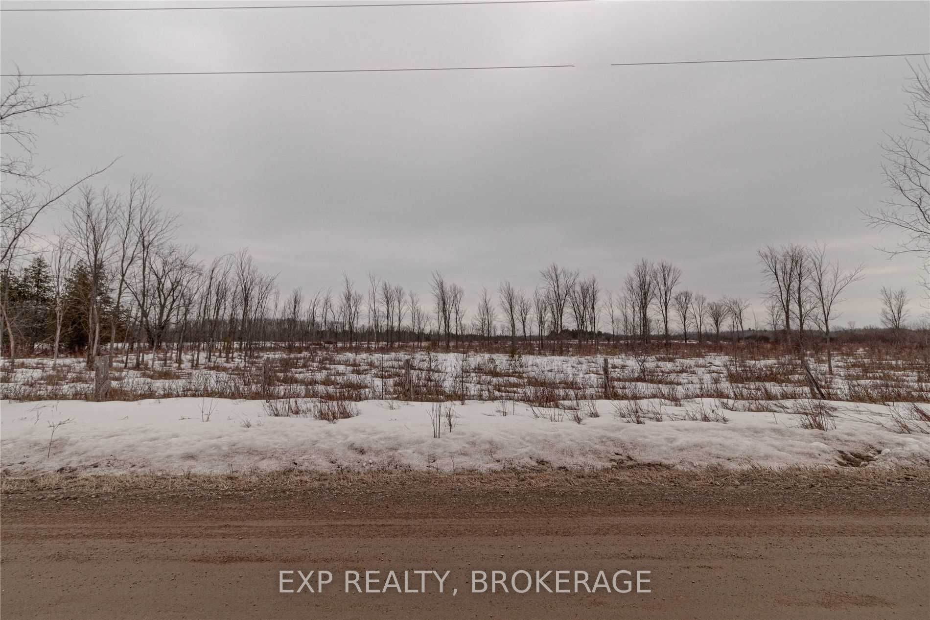 Listing X5981677 - Large Photo # 4