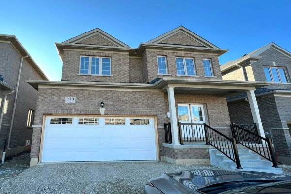 255 Ridley Cres, Southgate