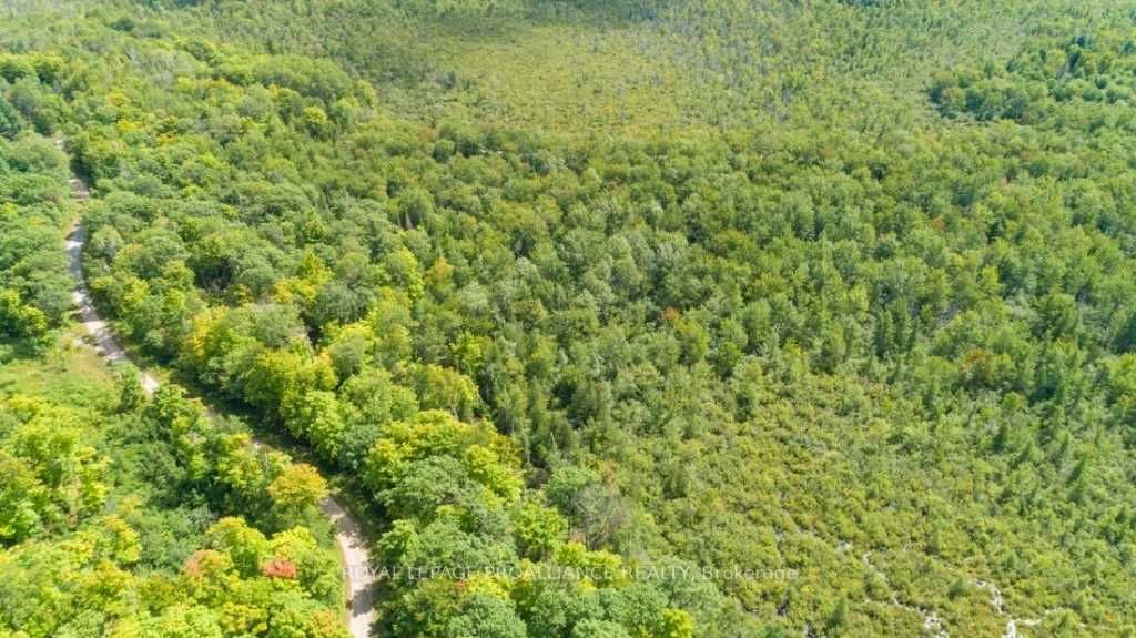 Listing X5982821 - Large Photo # 25