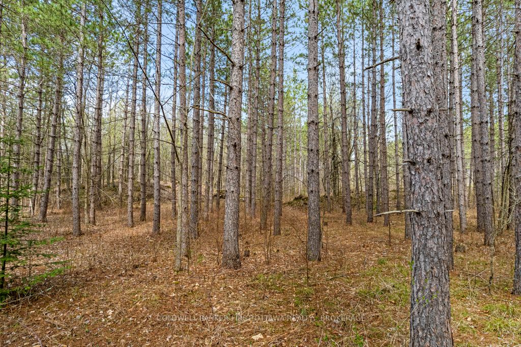 Listing X5983684 - Large Photo # 4