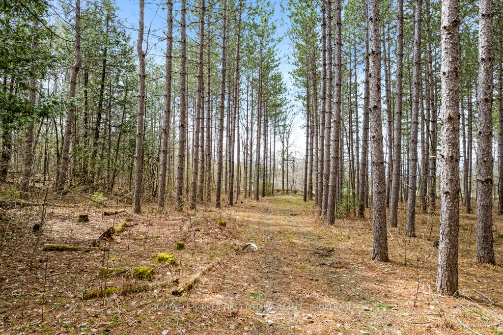 Listing X5983684 - Large Photo # 3