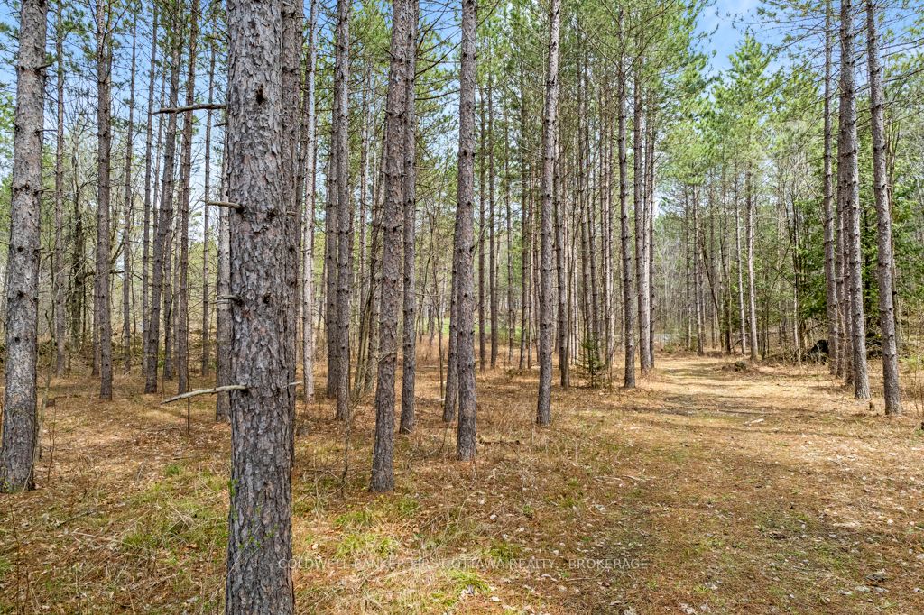 Listing X5983684 - Large Photo # 5
