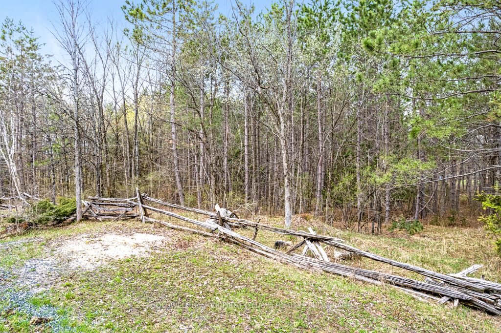 Listing X5983684 - Large Photo # 15