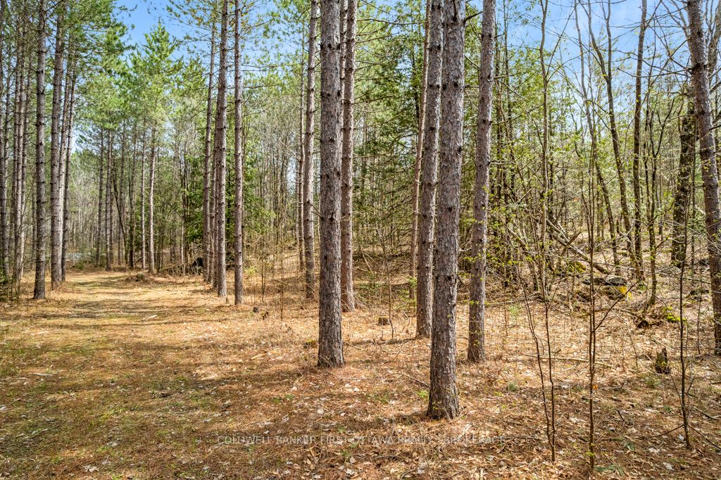 Listing X5983684 - Large Photo # 14