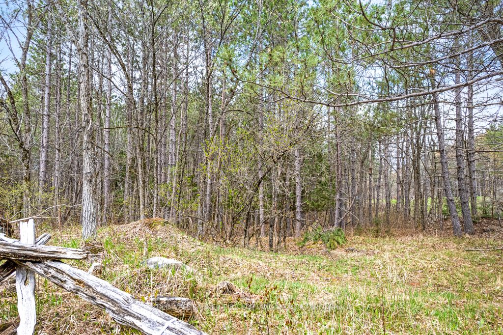 Listing X5983684 - Large Photo # 6