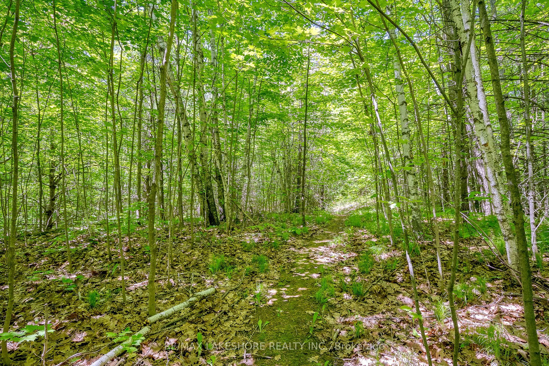 4556 Eagleson Line