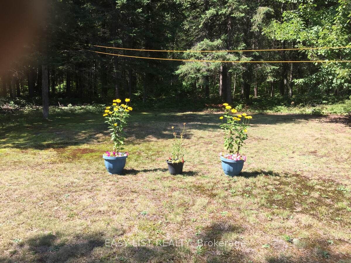 1084 South Algonquin Road