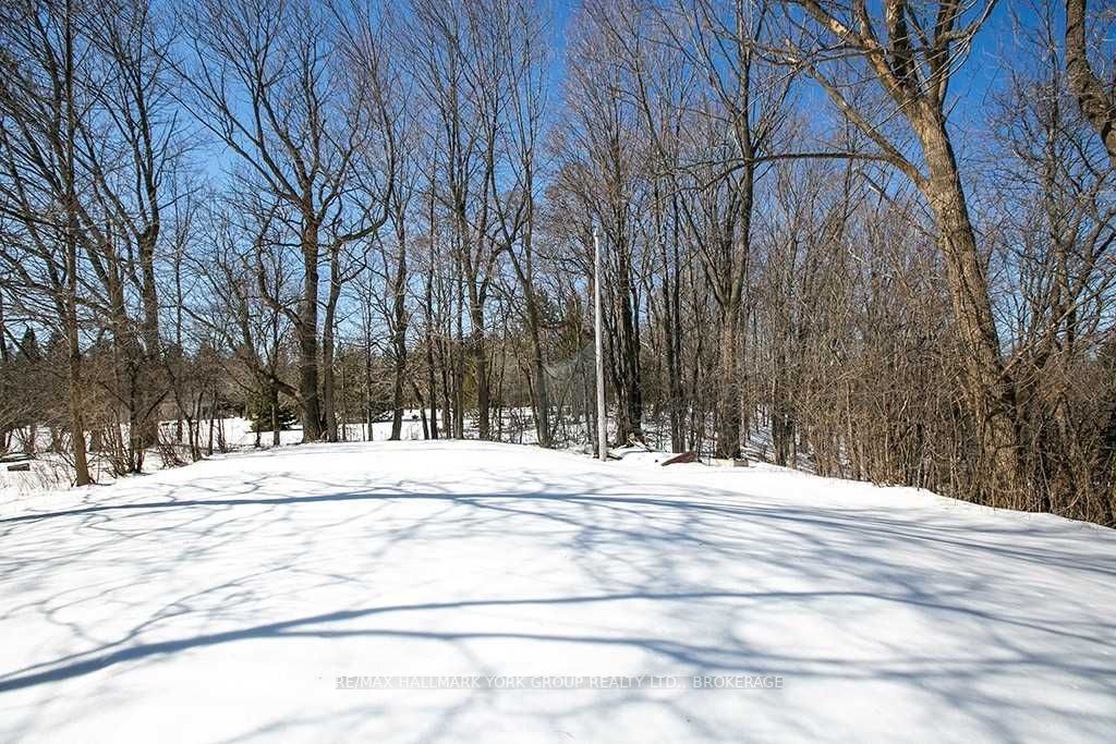 Listing X5991463 - Large Photo # 6
