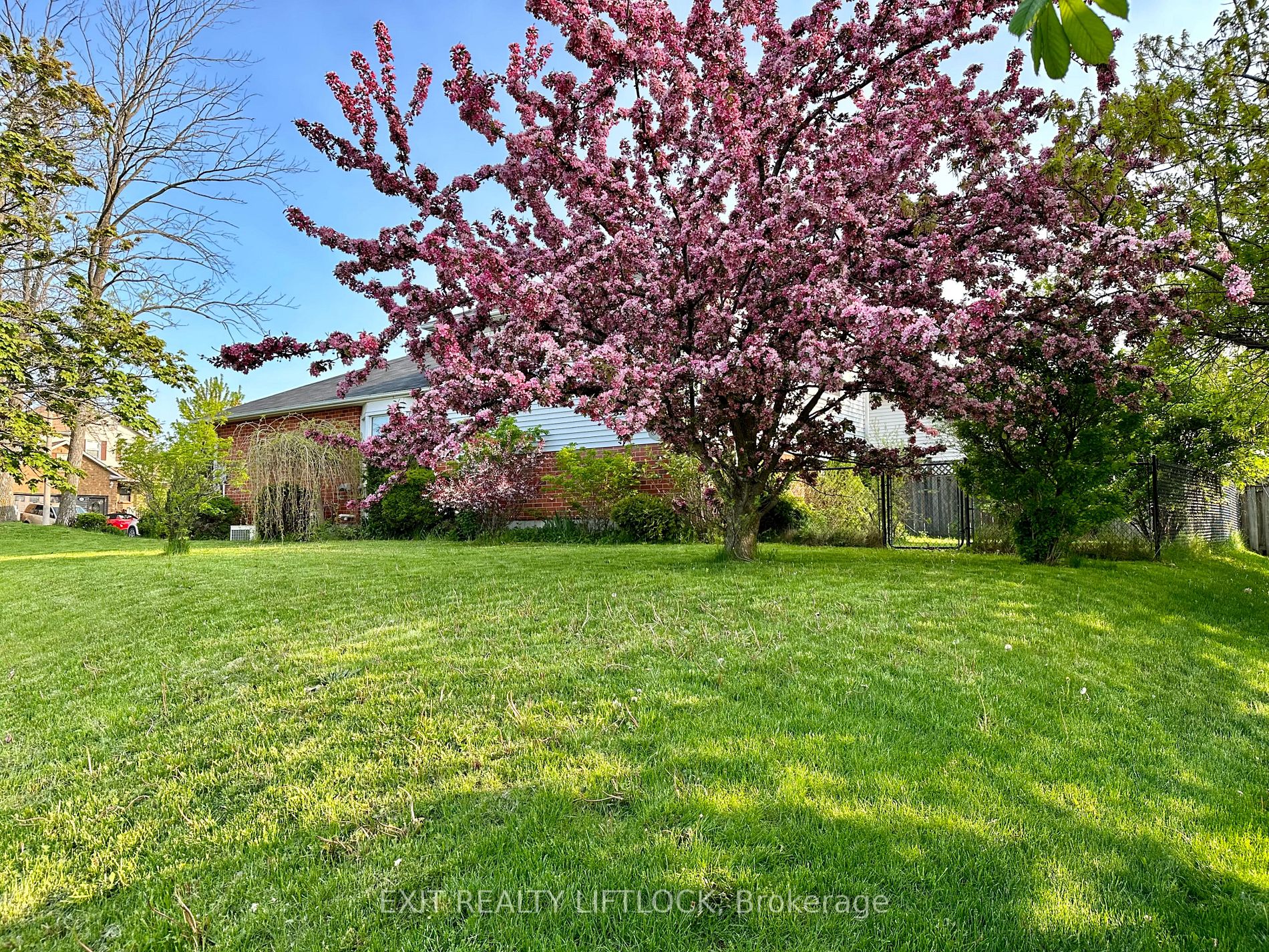 Listing X5992404 - Large Photo # 2
