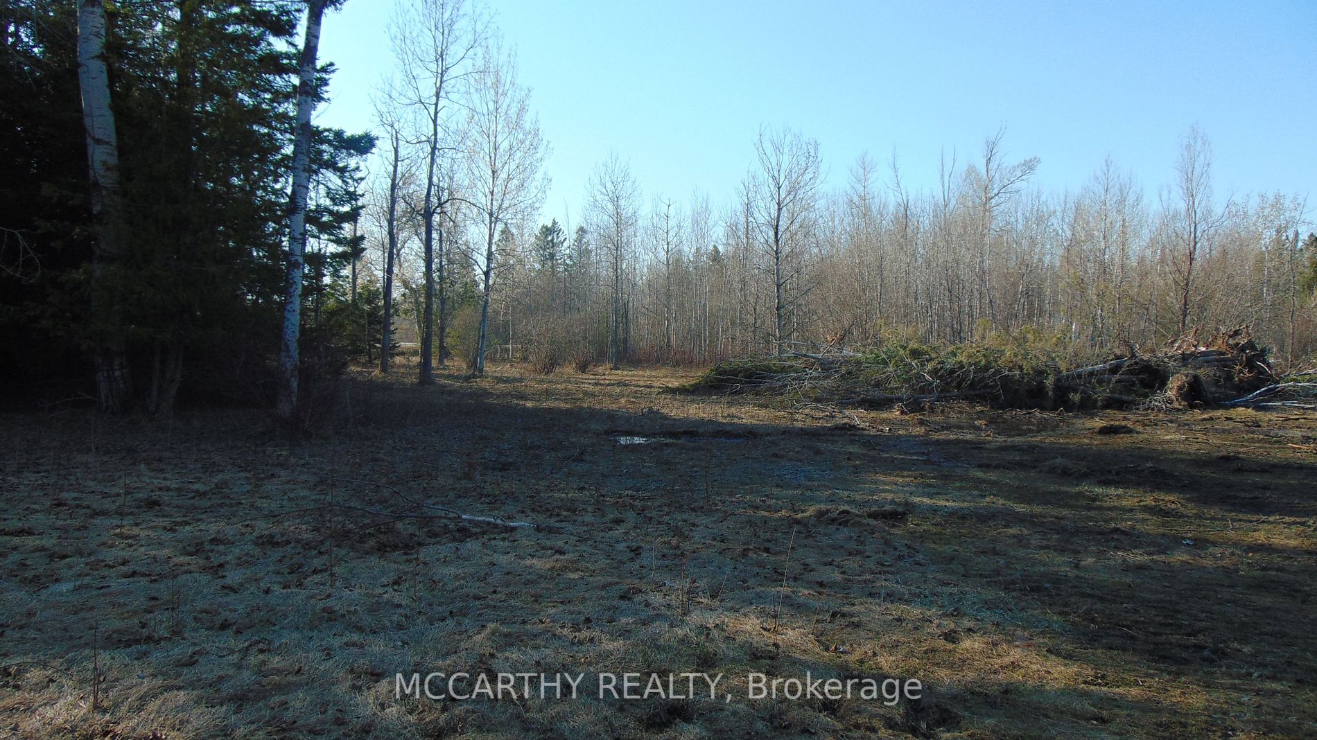 Listing X5993804 - Large Photo # 22
