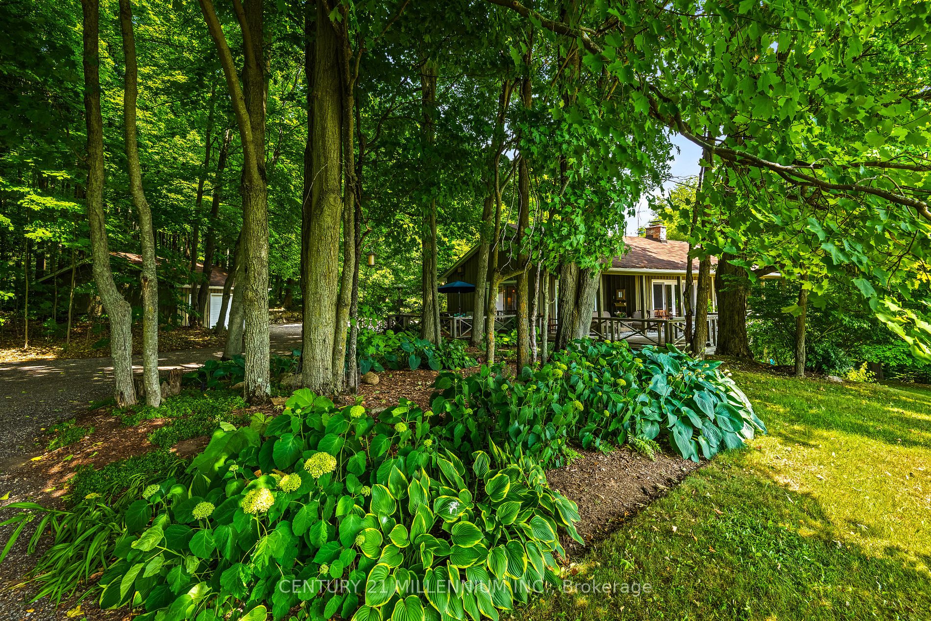 Listing X5995604 - Large Photo # 16