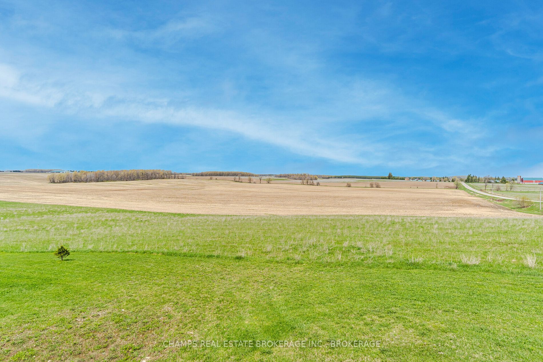 Listing X5996781 - Large Photo # 4
