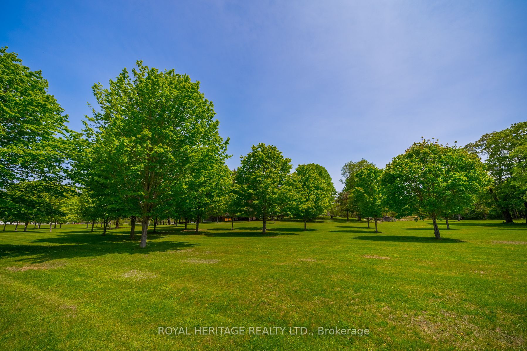 Listing X5997452 - Large Photo # 20