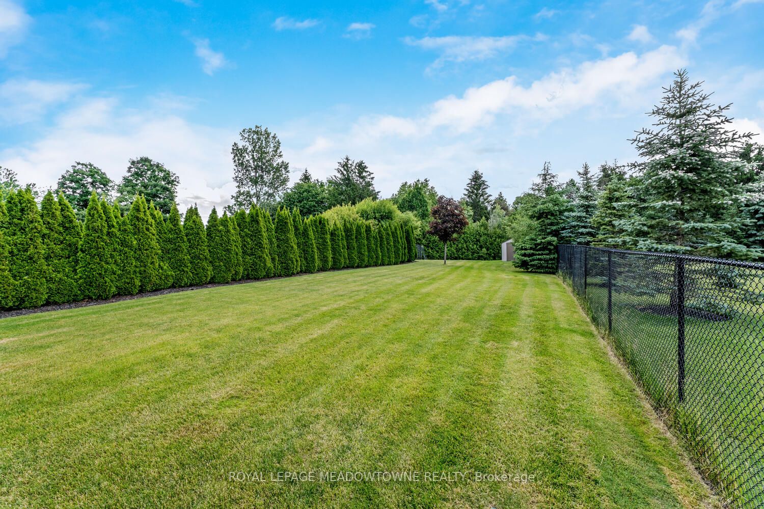 Listing X5998612 - Large Photo # 37