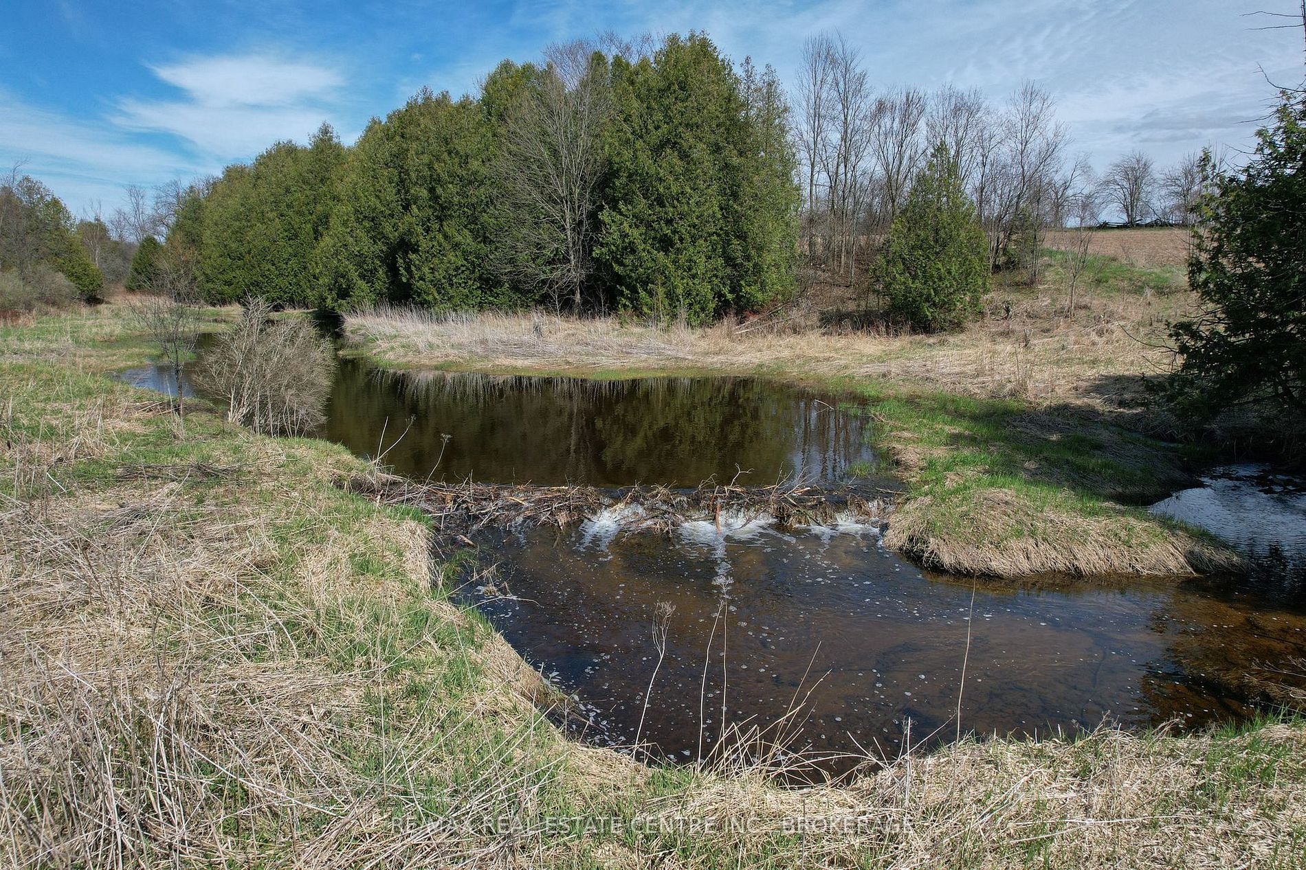 Listing X5999759 - Large Photo # 32