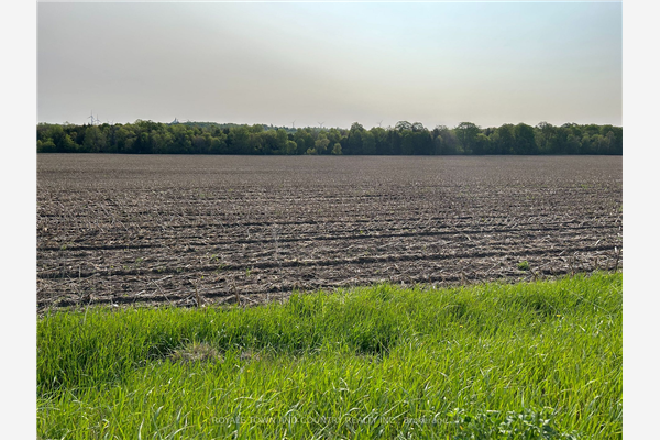 0 Century Farm Rd, Kawartha Lakes