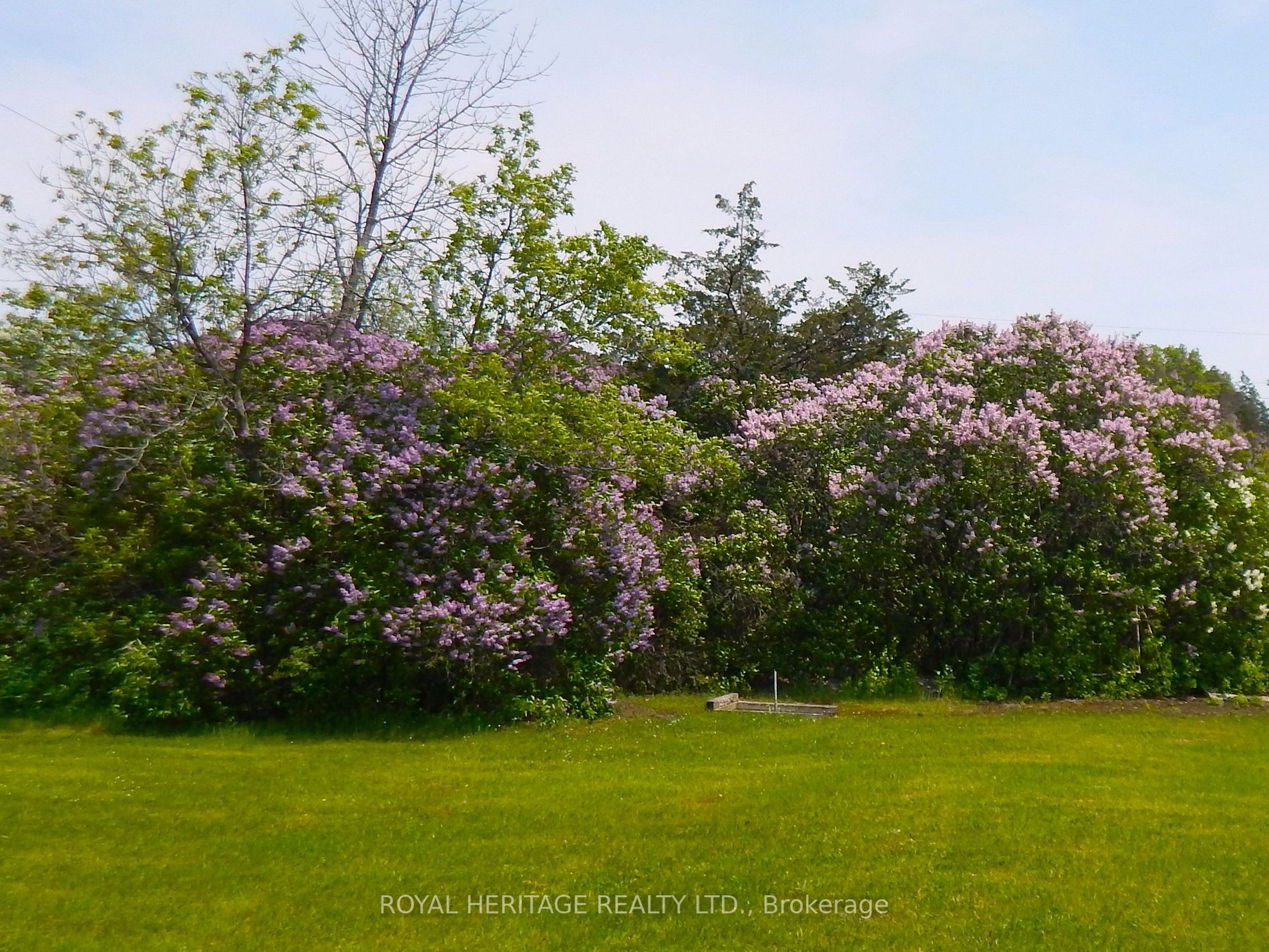 Listing X6000152 - Large Photo # 26