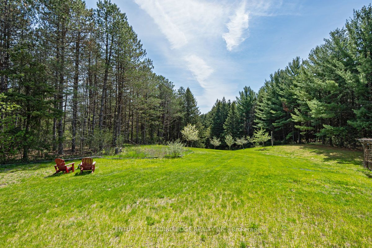 Listing X6000628 - Large Photo # 28
