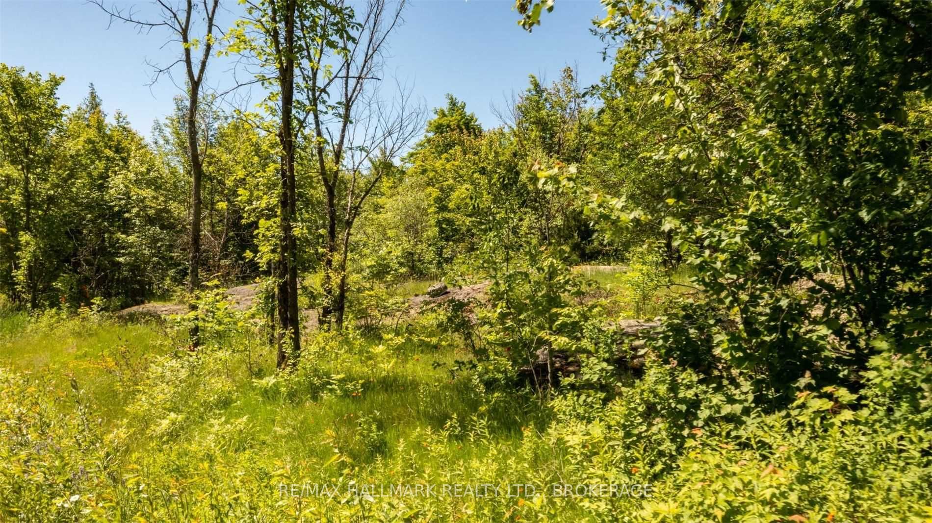 Listing X6003145 - Large Photo # 3
