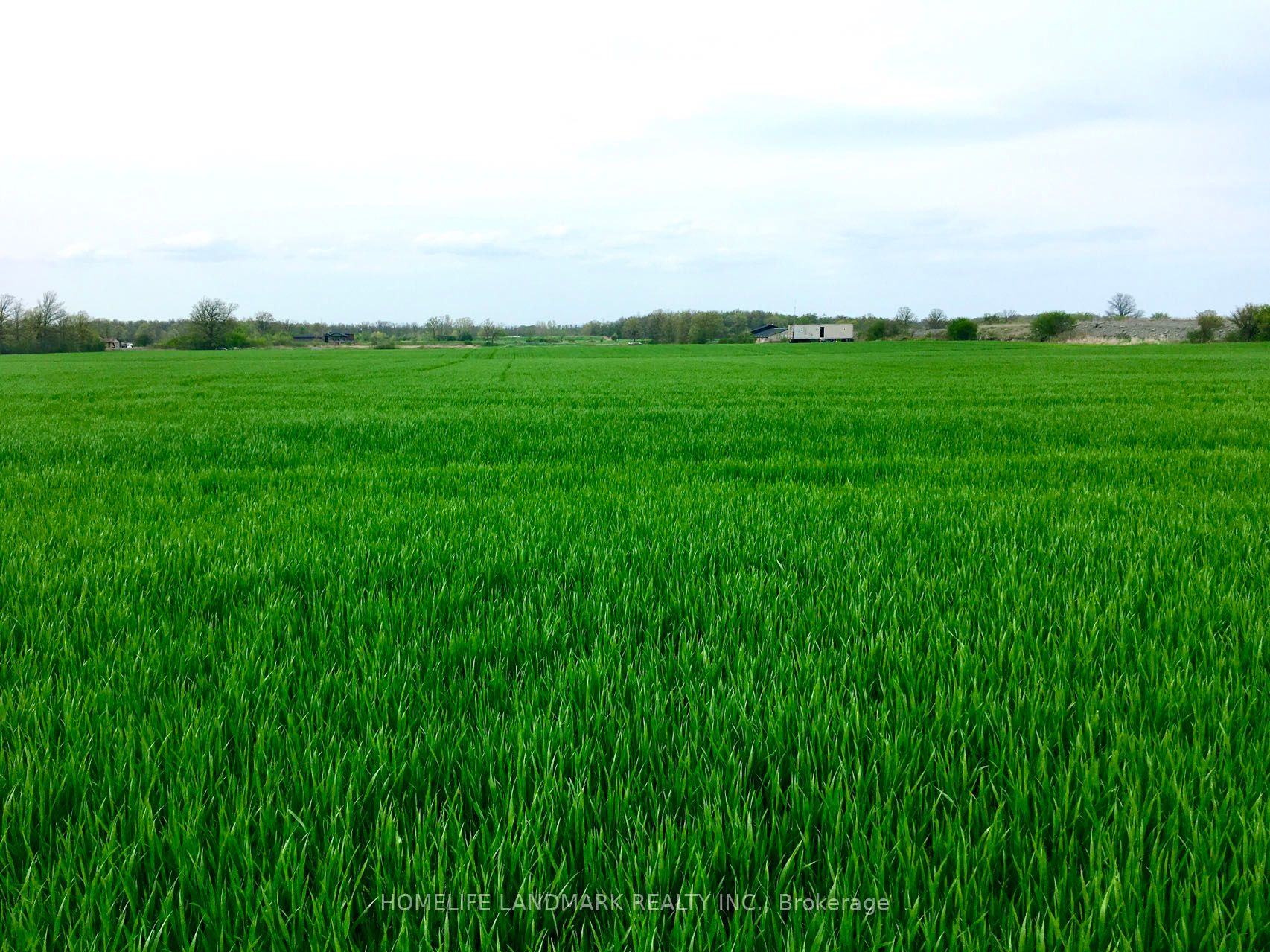 Listing X6003284 - Large Photo # 5