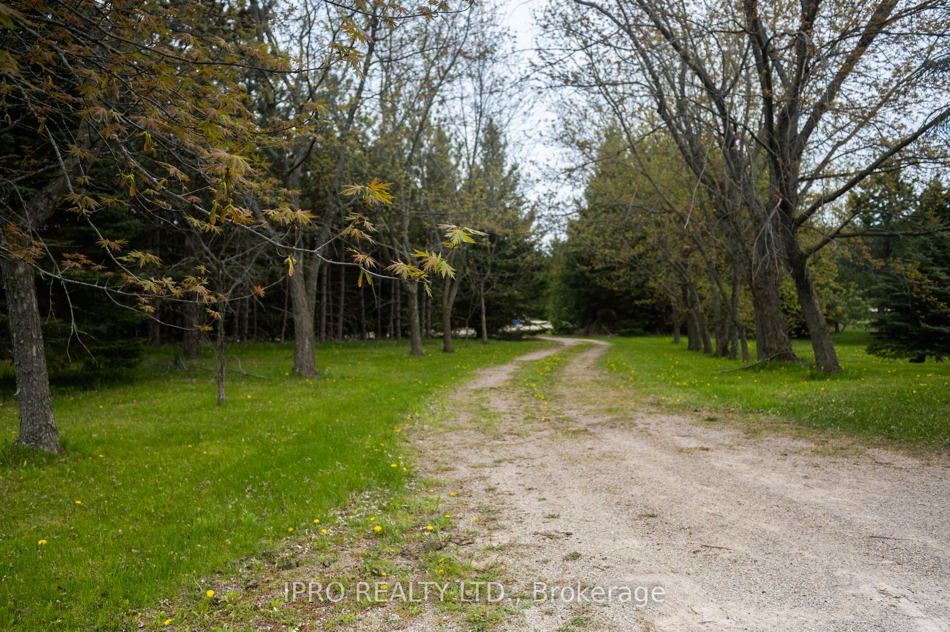 Listing X6007280 - Large Photo # 1