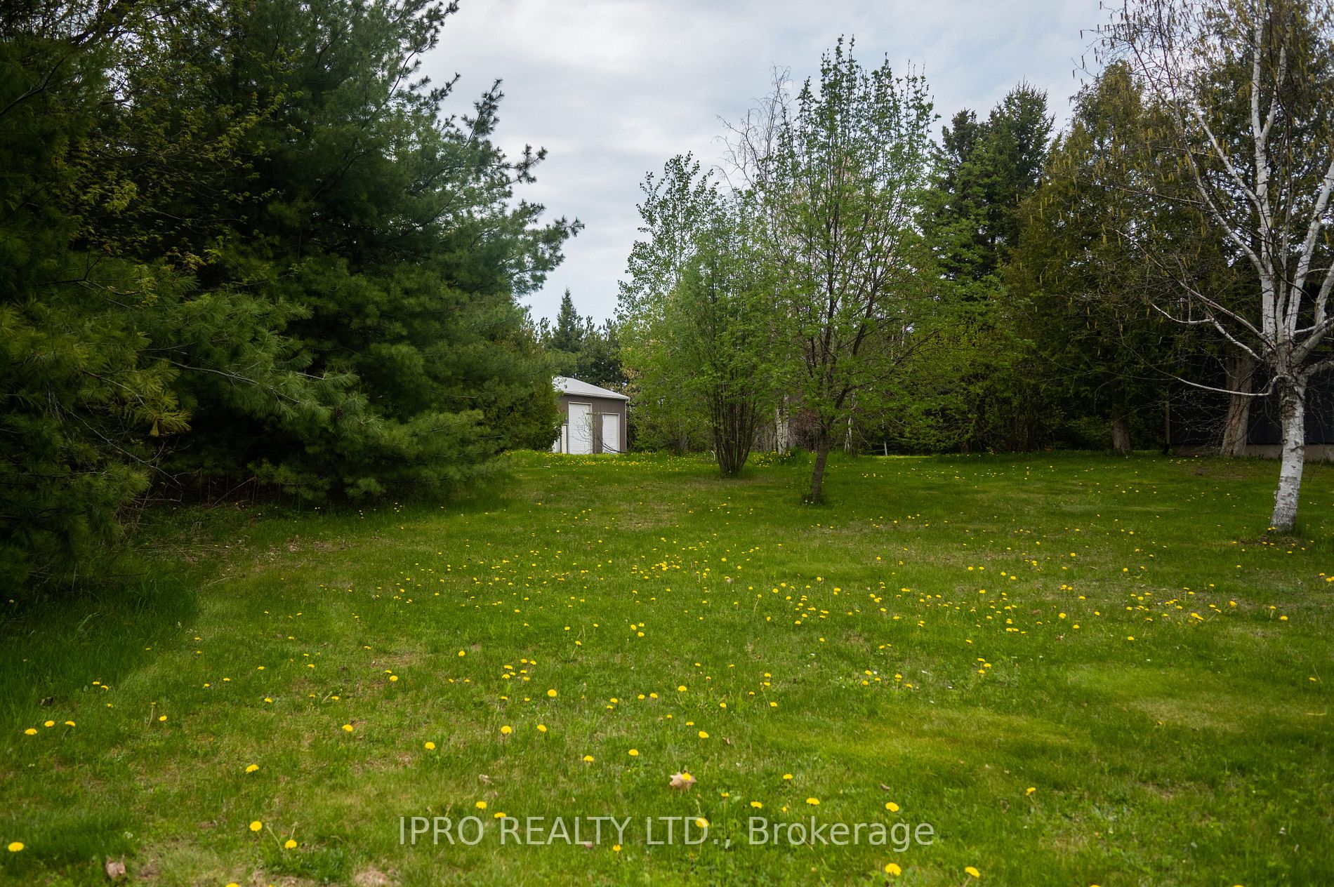 Listing X6007280 - Large Photo # 13
