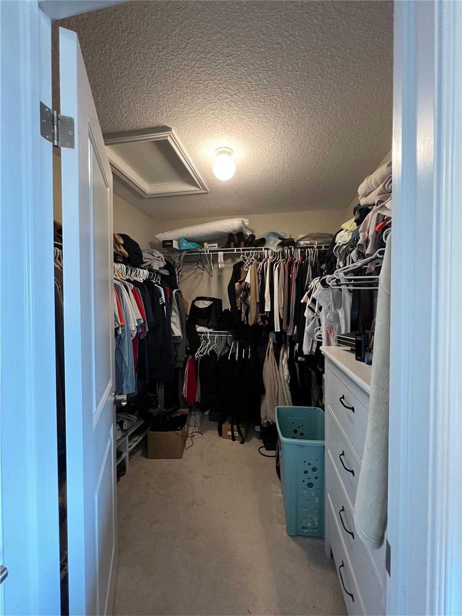 100 Dolomiti Crt